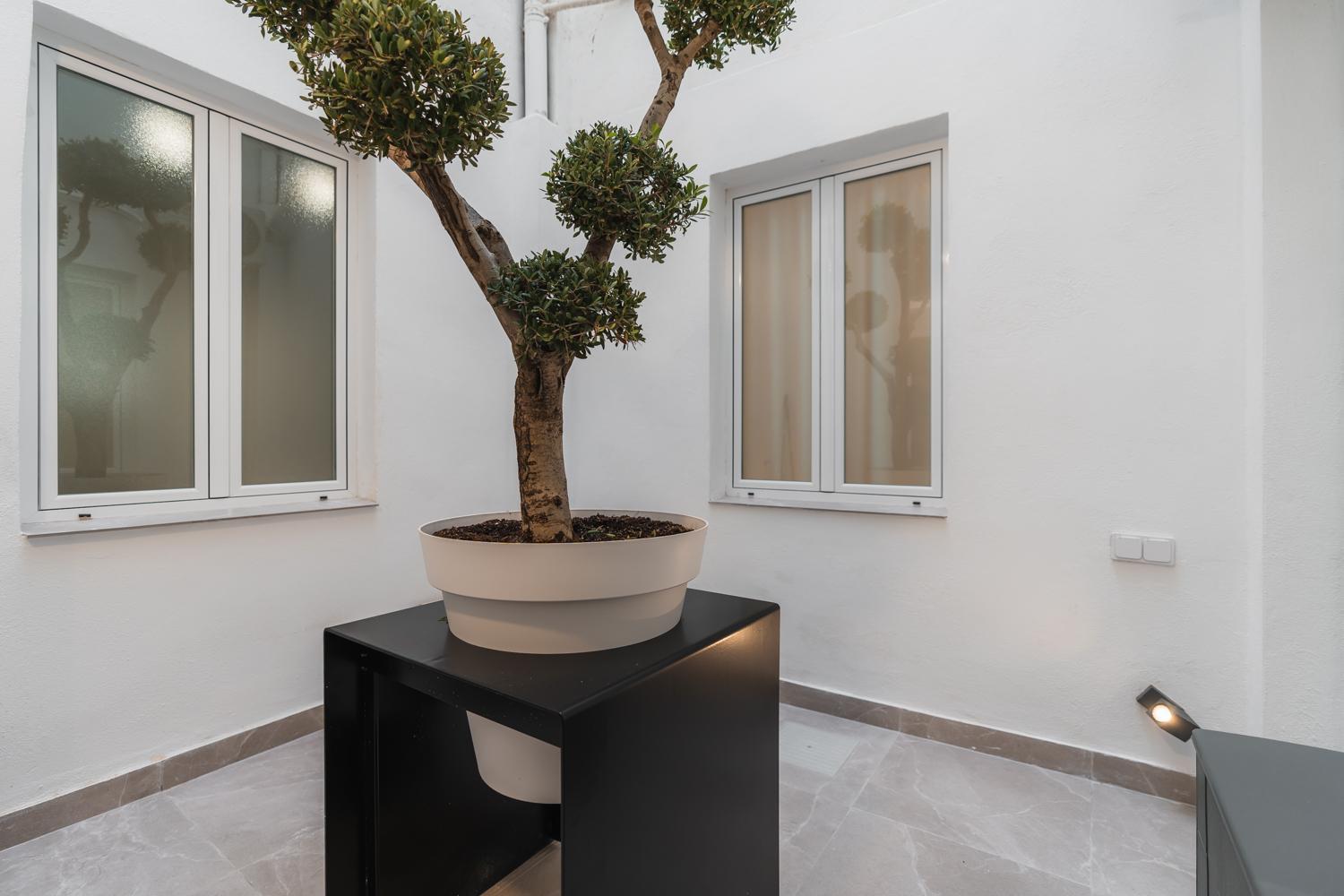 Tuguest Buensuceso Apartment Granada Exteriör bild